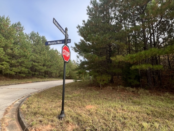 Listing Image #3 - Land for sale at 0 St Lucia Sunrise, Conyers GA 30094