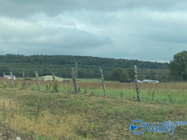 Listing Image #2 - Others for sale at 8374 County Road 222, Trinity AL 35673