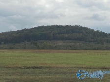 Others property for sale in Trinity, AL