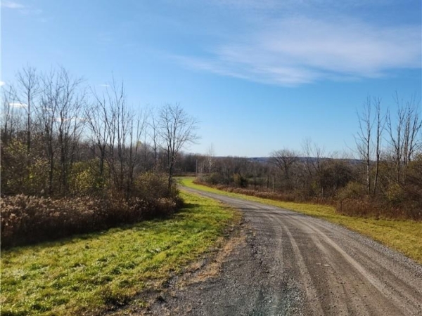 Listing Image #1 - Land for sale at Grand View Drive, Schuyler NY 13340