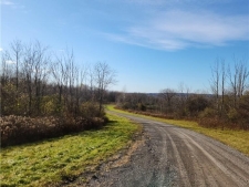 Land property for sale in Schuyler, NY