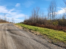 Listing Image #2 - Land for sale at Grand View Drive, Schuyler NY 13340