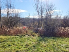 Listing Image #3 - Land for sale at Grand View Drive, Schuyler NY 13340
