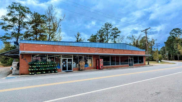 Listing Image #1 - Retail for sale at 143 Healing Springs Ave, Millry AL 36558