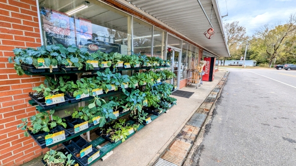 Listing Image #2 - Retail for sale at 143 Healing Springs Ave, Millry AL 36558