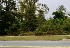 Land property for sale in Marianna, FL