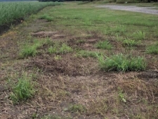Land for sale in St__martinville, LA
