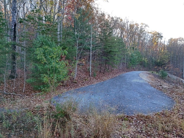 Listing Image #1 - Land for sale at Lt 20&21 Red Twig Road, Blairsville GA 30512