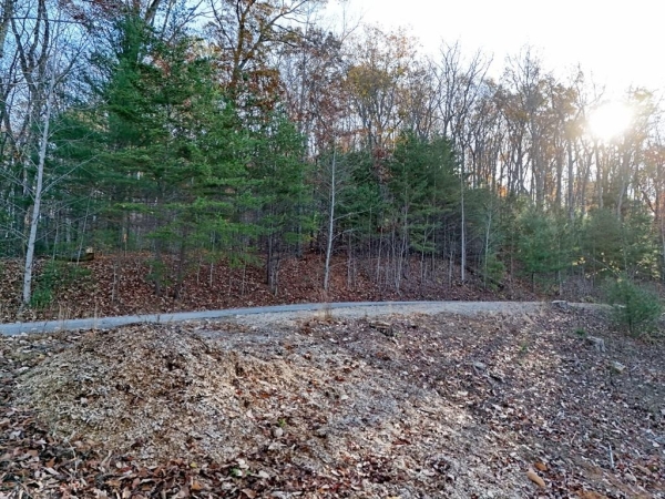 Listing Image #2 - Land for sale at Lt 20&21 Red Twig Road, Blairsville GA 30512