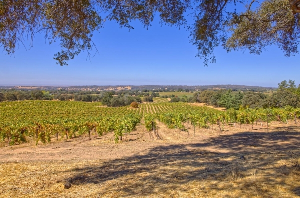 Listing Image #3 - Land for sale at Shenandoah School Road, Plymouth CA 95669