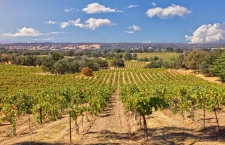 Land property for sale in Plymouth, CA