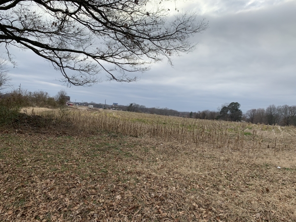 Listing Image #2 - Others for sale at 0 Hwy 51, Troy TN 38260