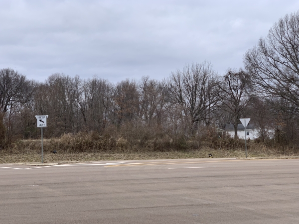 Listing Image #3 - Others for sale at 0 Hwy 51, Troy TN 38260