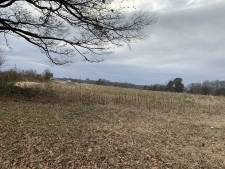Listing Image #2 - Others for sale at 0 Hwy 51, Troy TN 38260