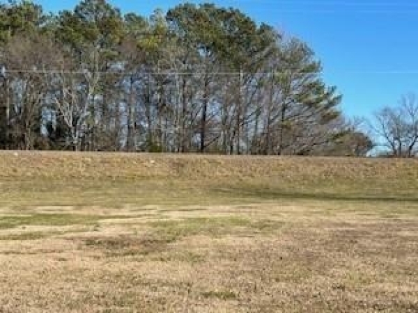 Listing Image #2 - Land for sale at 5655 Joe Frank Harris Parkway NW, Adairsville GA 30103