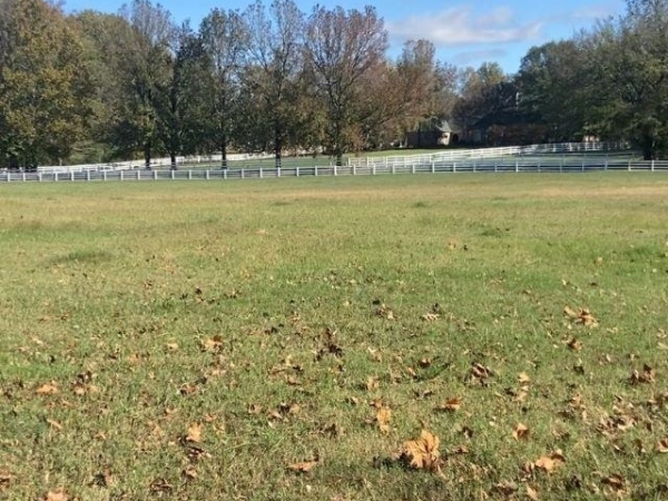 Listing Image #3 - Multi-family for sale at 0 LEXINGTON MANOR CV Unit# 22, Eads TN 38028