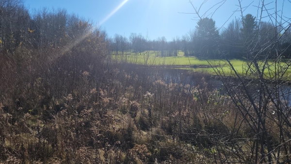 Listing Image #3 - Others for sale at XXX W Houghton Lk Drive , Par A-2, Houghton Lake MI 48629
