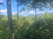 Land property for sale in Cherry Log, GA