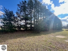 Listing Image #2 - Others for sale at 00 13th Street, Cadillac MI 49601