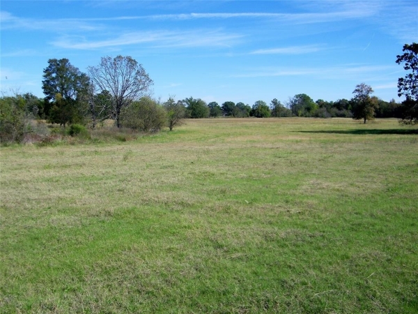 Listing Image #2 - Land for sale at Fossil Ridge Trail, Idabel OK 74745