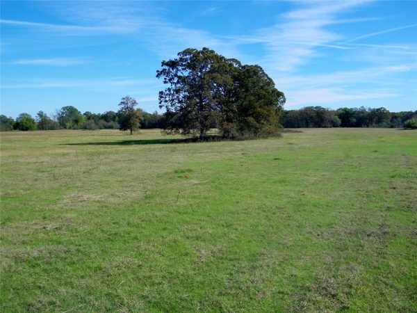 Listing Image #3 - Land for sale at Fossil Ridge Trail, Idabel OK 74745