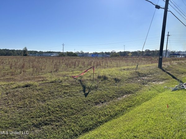 Listing Image #2 - Land for sale at 0 Old Hwy 63 South, Lucedale MS 39452