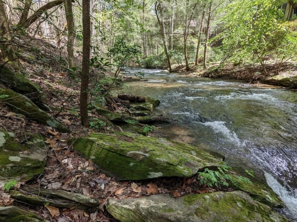 Listing Image #3 - Land for sale at LT F309 Gold Mine Drive, Ellijay GA 30540