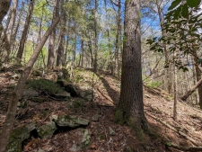 Land for sale in Ellijay, GA