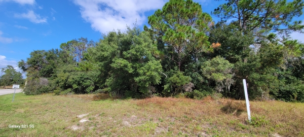 Listing Image #2 - Land for sale at Lake Helen Osteen Road Parma Drive, Deltona FL 32738