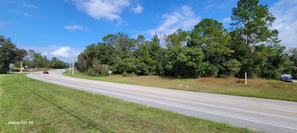 Listing Image #3 - Land for sale at Lake Helen Osteen Road Parma Drive, Deltona FL 32738
