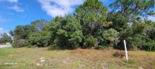 Listing Image #2 - Land for sale at Lake Helen Osteen Road Parma Drive, Deltona FL 32738
