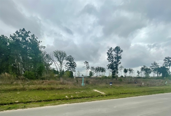 Listing Image #3 - Land for sale at 2072 Road 5100 Road, Cleveland TX 77327