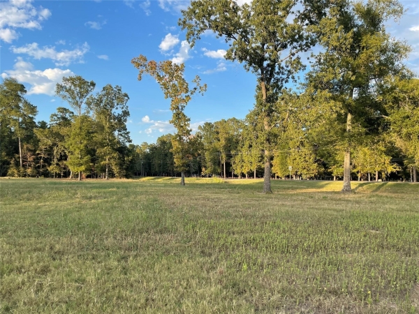 Listing Image #3 - Land for sale at TBD Farm Road 3126, Livingston TX 77351