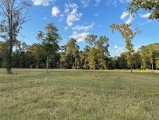 Listing Image #2 - Land for sale at TBD Farm Road 3126, Livingston TX 77351
