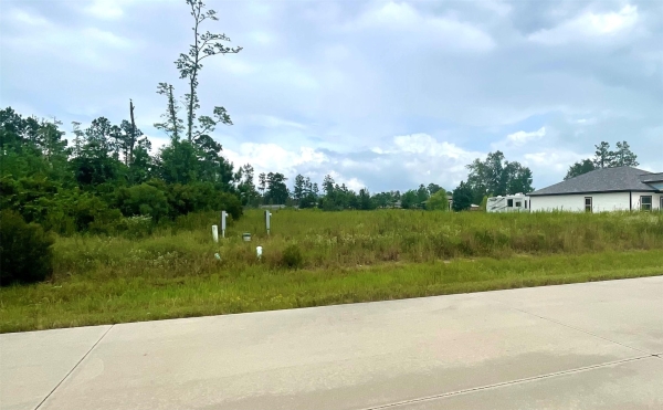 Listing Image #3 - Land for sale at 1104 Road 5203, Cleveland TX 77327