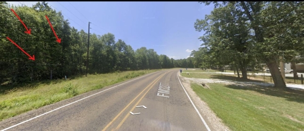 Listing Image #3 - Land for sale at Bankside, Livingston TX 77351