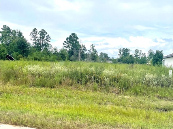 Listing Image #2 - Land for sale at 1114 Road 5203, Cleveland TX 77327