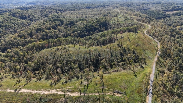Listing Image #3 - Land for sale at 0 Fairview Blvd, Fairview TN 37062