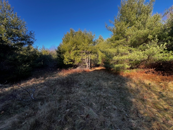 Listing Image #2 - Others for sale at 480 Wareham St, Middleboro MA 02346