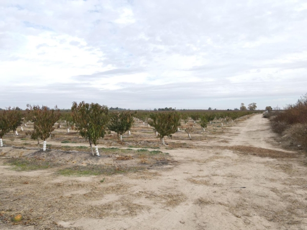 Listing Image #2 - Land for sale at Hinton Road, Delhi CA 95315
