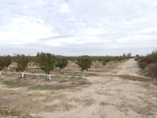 Listing Image #2 - Land for sale at Hinton Road, Delhi CA 95315