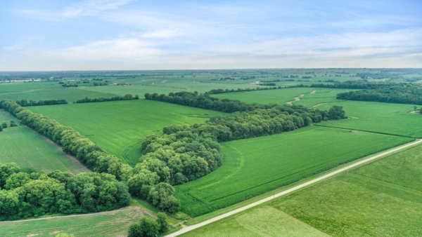 Listing Image #1 - Others for sale at 0 N 29th Road, Ottawa IL 61350
