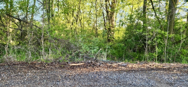 Listing Image #1 - Land for sale at VL N 120th Avenue, Holland MI 49424