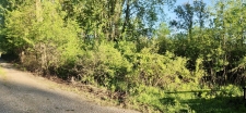Listing Image #3 - Land for sale at VL N 120th Avenue, Holland MI 49424