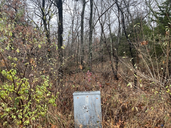 Listing Image #2 - Land for sale at 2975 Eagle Point Bay Rd, Goreville IL 62939