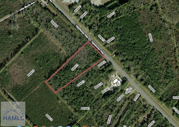 Listing Image #1 - Land for sale at 9.33 AC E Oglethorpe Hwy, Flemington GA 31313