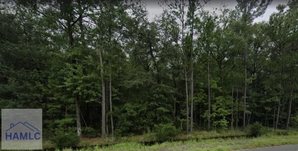 Listing Image #2 - Land for sale at 9.33 AC E Oglethorpe Hwy, Flemington GA 31313