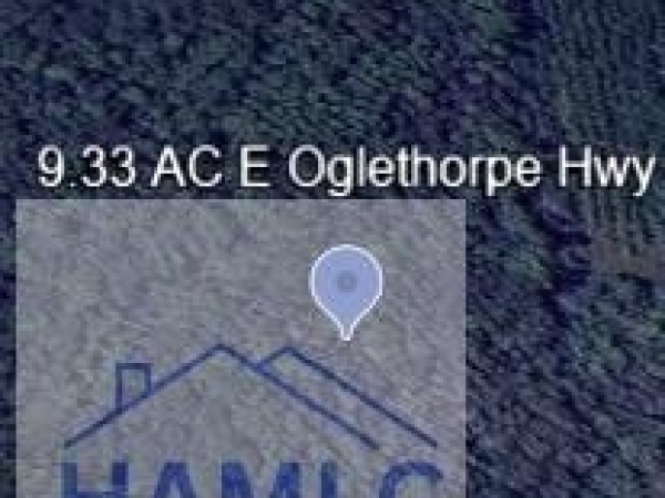 Listing Image #3 - Land for sale at 9.33 AC E Oglethorpe Hwy, Flemington GA 31313