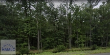 Listing Image #2 - Land for sale at 9.33 AC E Oglethorpe Hwy, Flemington GA 31313