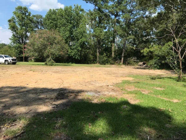 Listing Image #3 - Land for sale at 8894 Florida Blvd, Walker LA 70785